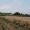 รั้วตาข่าย รั้วเกษตร - <br>รุ่นความสูง 120 ซม. <br>(ยาว 50 เมตร) <br>[อายุการใช้งาน 10-20 ปี*] - Image 8