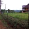 รั้วตาข่าย รั้วเกษตร - <br>รุ่นความสูง 120 ซม. <br>(ยาว 50 เมตร) <br>[อายุการใช้งาน 10-20 ปี*] - Image 5
