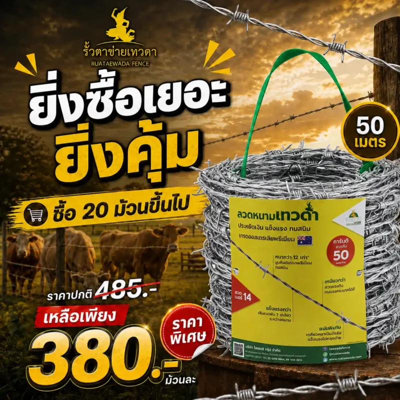 ยิ่งซื้อเยอะ ยิ่งคุ้ม tw 50m