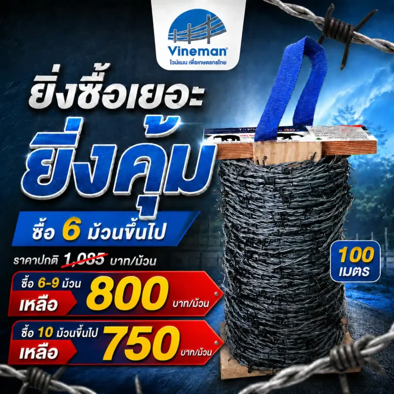ยิ่งซื้อเยอะ ยิ่งคุ้ม vm 100m