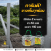 ลวดหนามทนสนิมเทวดา เบอร์ 14