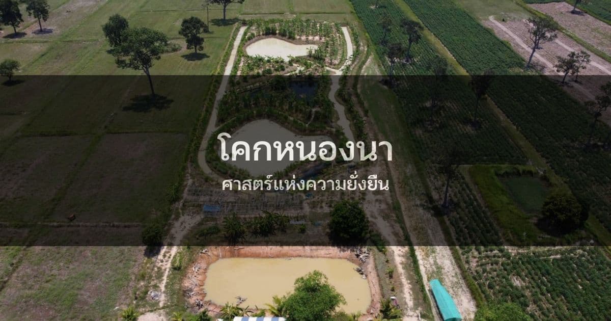 โคกหนองนา ศาสตร์แห่งความยั่งยืน
