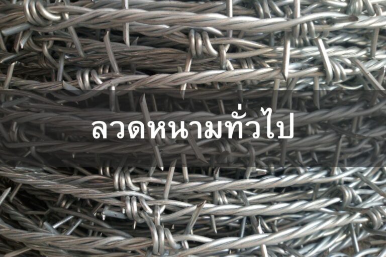 ลวดหนามทั่วไป