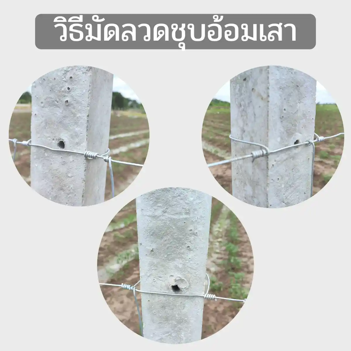การใช้งานลวดชุบ