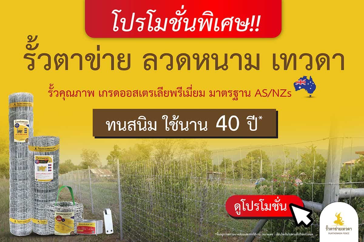 เกษตรภัณฑ์-Web-HeroBannerเทวดา-18-01-67