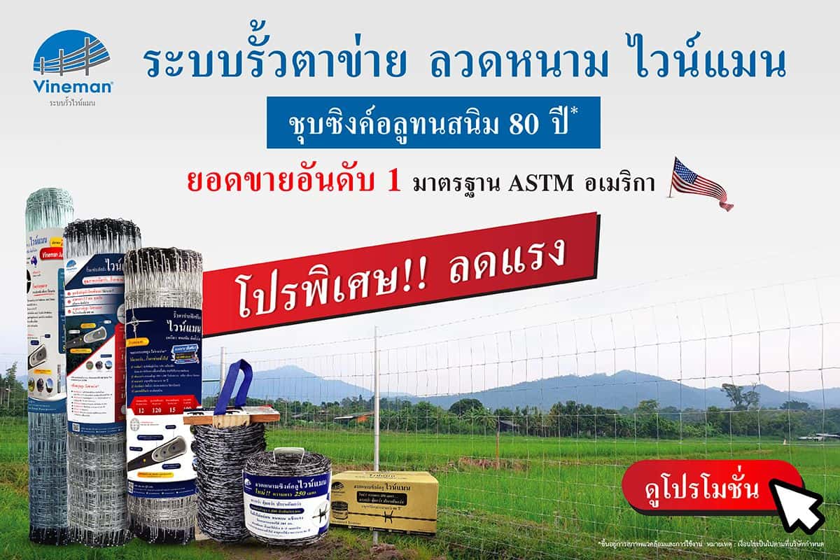 เกษตรภัณฑ์-Web-HeroBannerไวน์แมน-18-01-67