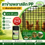 ตาข่ายพลาสติก PP ถี่ 2X2