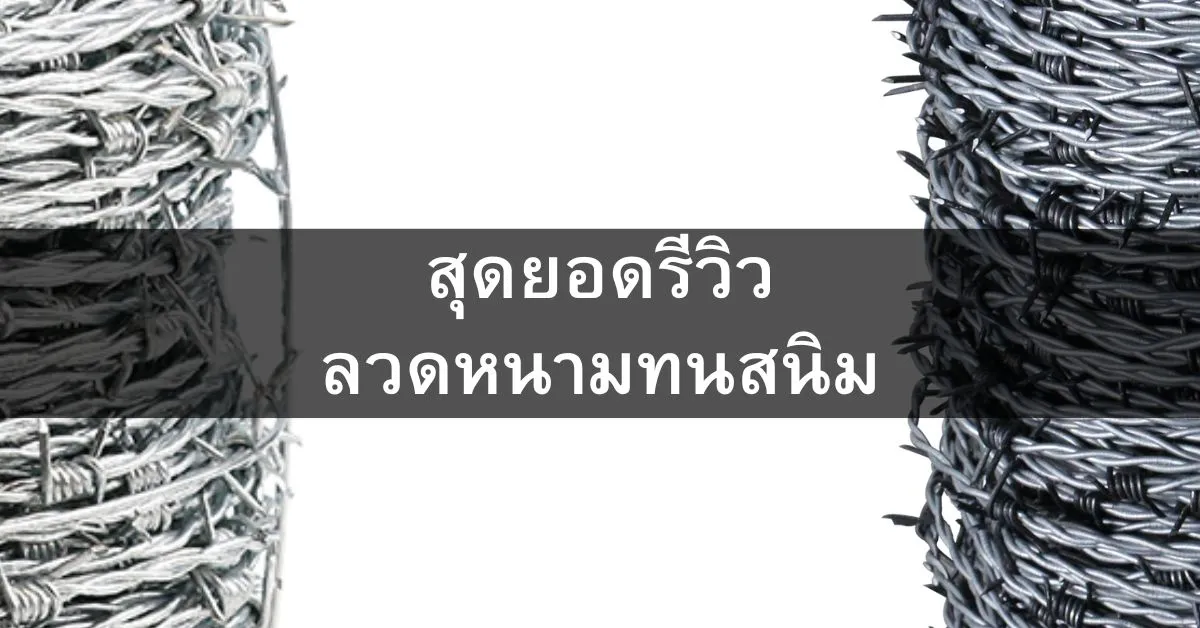 รีวิว สุดยอดลวดหนามทนสนิม: เทวดา vs ไวน์แมน ใครคือสุดยอดตัวจริง?