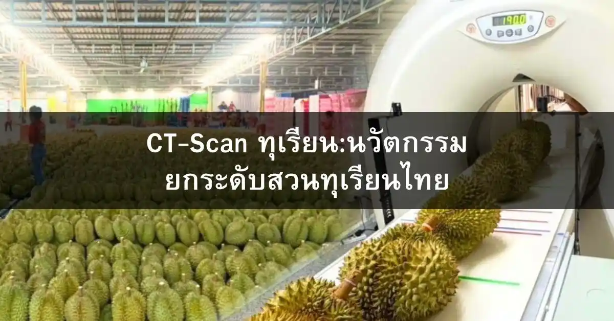 CT-Scan ทุเรียน นวัตกรรมเปลี่ยนวงการ ยกระดับสวนทุเรียนไทยสู่ตลาดโลก