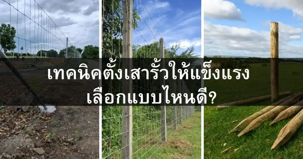 บทความลวดหนามหีบเพลง