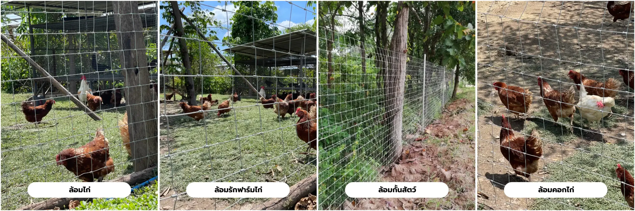 การใช้งานรั้วมังกร 4x4
