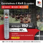 [รั้วมังกร] รั้วตาข่ายถักปม รุ่นถี่พิเศษ 4×4 นิ้ว ความสูง 150 ซม. (ลวดหนา 1.8 มม.) [อายุการใช้งาน 10 ปี*]