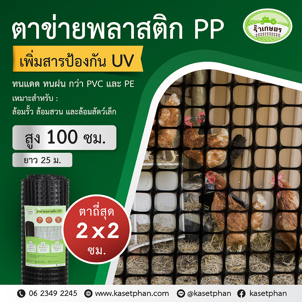 ตาข่ายพลาสติก PP
