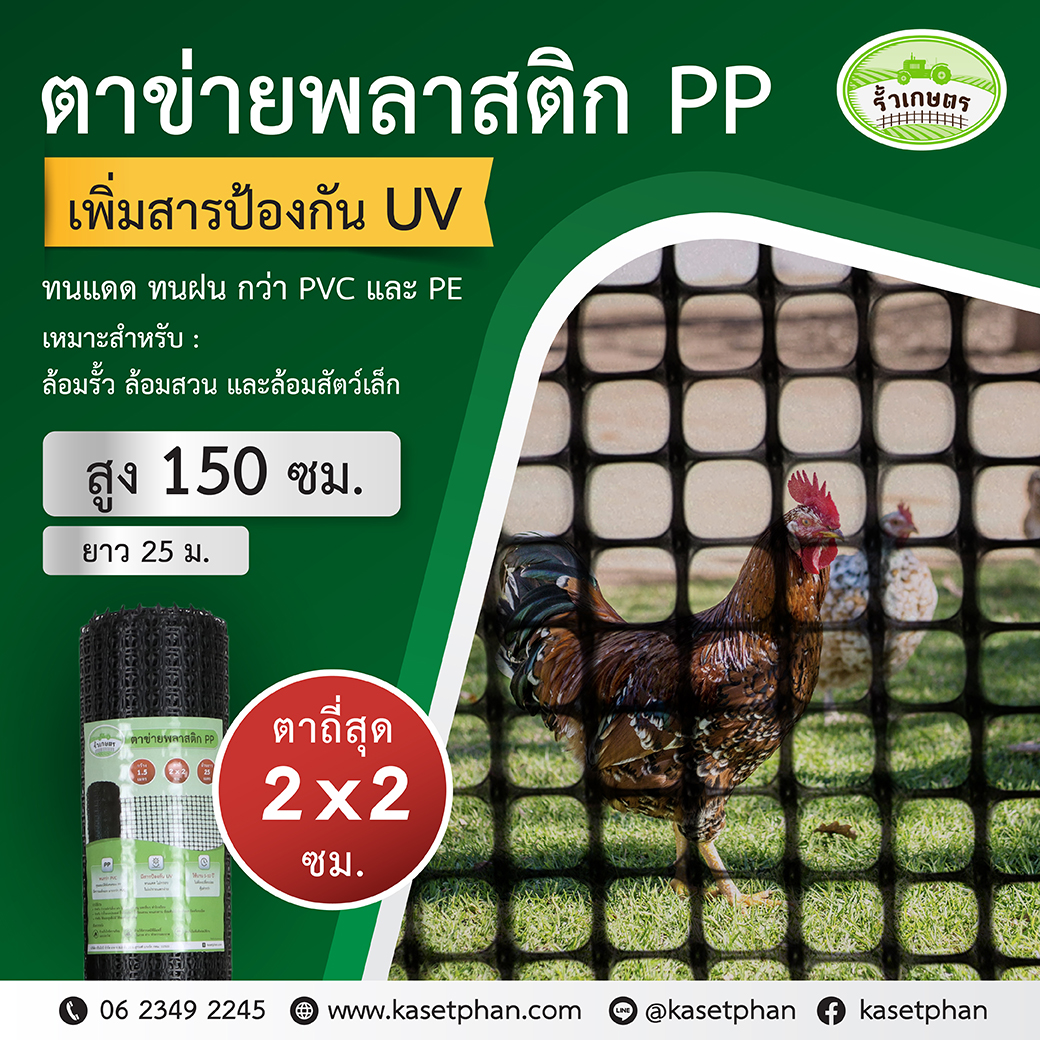 ตาข่ายพลาสติก PP