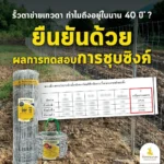 รั้วตาข่ายถักปมเทวดา ความสูง 150 ซม. ลวดหนา 2.5 มม. [อายุการใช้งาน 40 ปี*] - Image 3