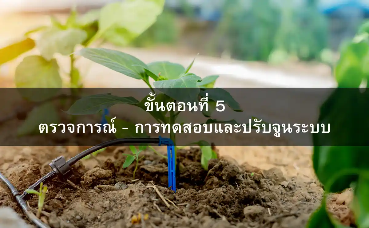 ขั้นตอนที่ 5 ตรวจการณ์ - การทดสอบและปรับจูนระบบ
