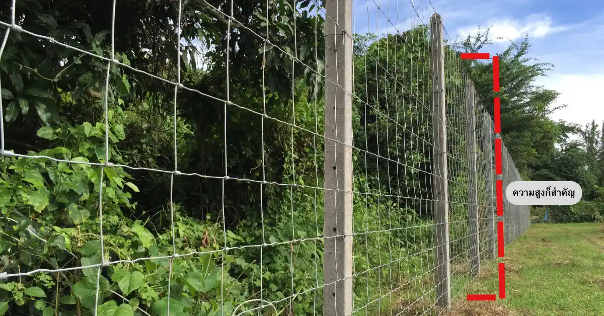ความสูงของรั้วตาข่าย (Fence Height)