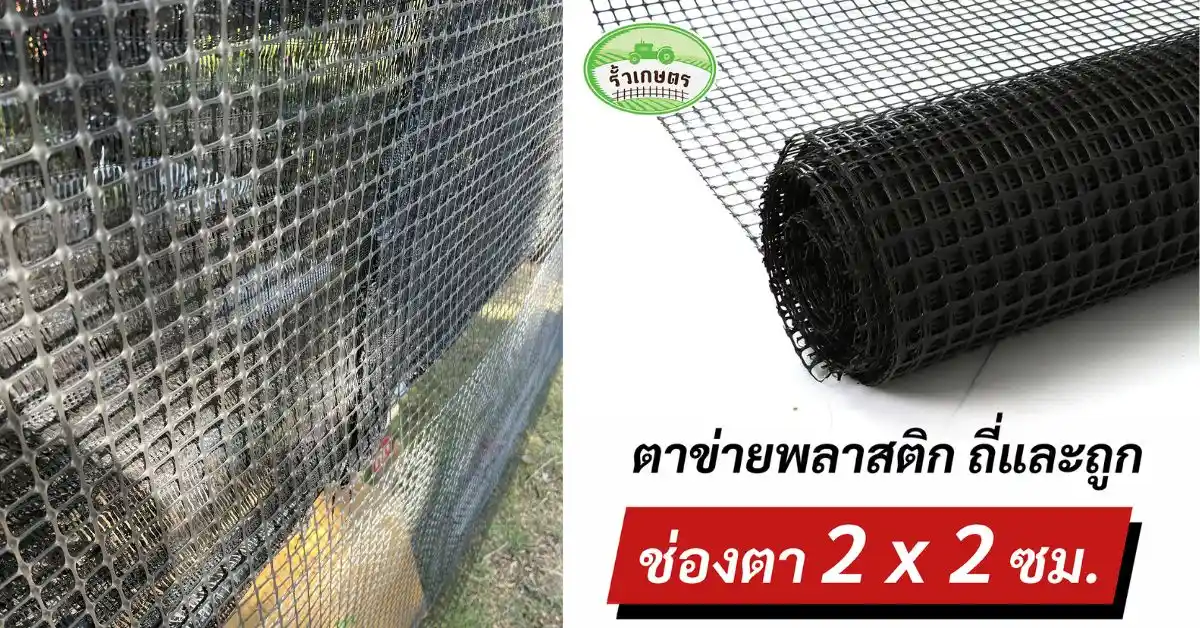 ตาข่ายพลาสติก PP