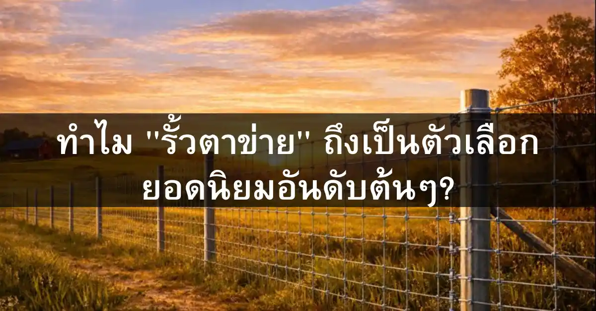 ทำไมรั้วตาข่ายถึงเป็นตัวเลือกยอดนิยมอันดับต้นๆ ?