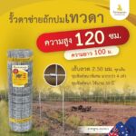 รั้วตาข่ายเทวดา รั้วตาข่ายถักปม ความสูง 120 ซม. ลวดหนา 2.5 มม. (ยาว 100 เมตร) [อายุการใช้งาน 40 ปี*]