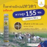 [รั้วเทวดา] รั้วตาข่ายถักปม รุ่นถี่ไล่ระดับ ช่องห่าง 10 ซม. ความสูง 155 ซม. ม้วนยาว 30 เมตร (ลวดหนา 2.5 มม.) [อายุการใช้งาน 40 ปี*]