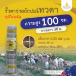 [รั้วเทวดา] รั้วตาข่ายถักปม รุ่นถี่ไล่ระดับ ช่องห่าง 10 ซม. ความสูง 100 ซม. (ลวดหนา 2.5 มม.) [อายุการใช้งาน 40 ปี*]