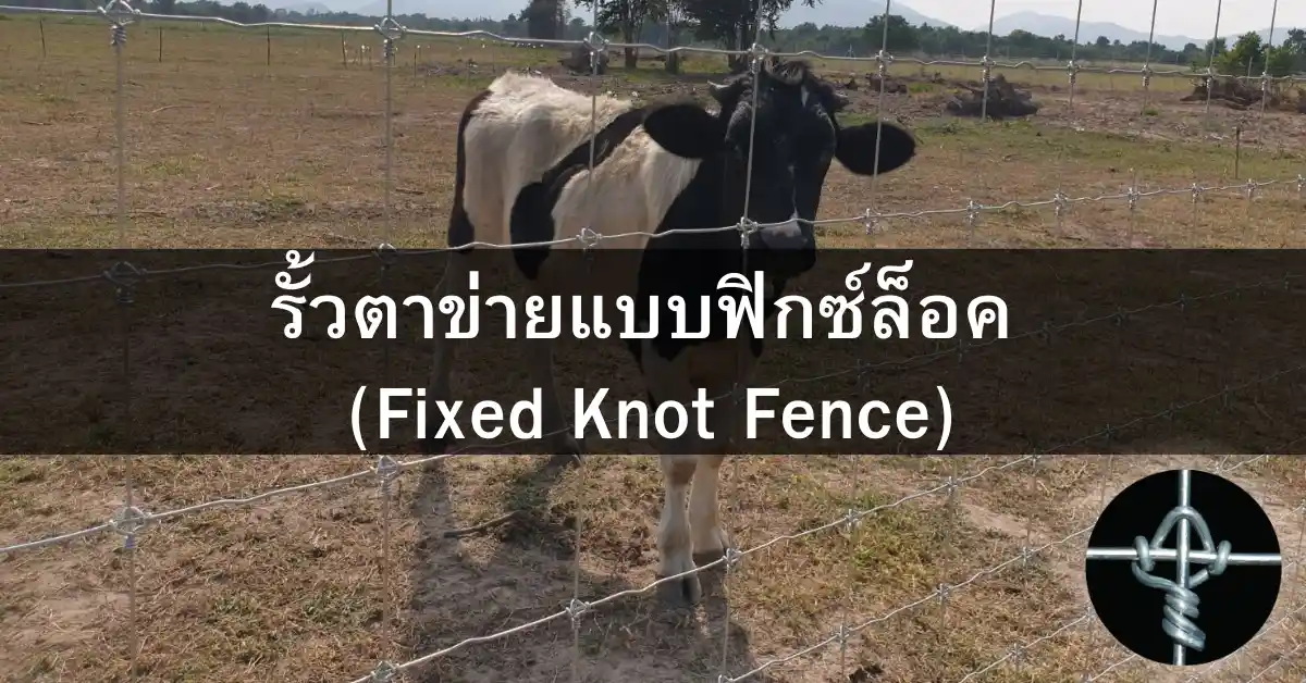 รั้วตาข่ายแบบฟิกซ์ล็อค (Fixed Knot Fence)
