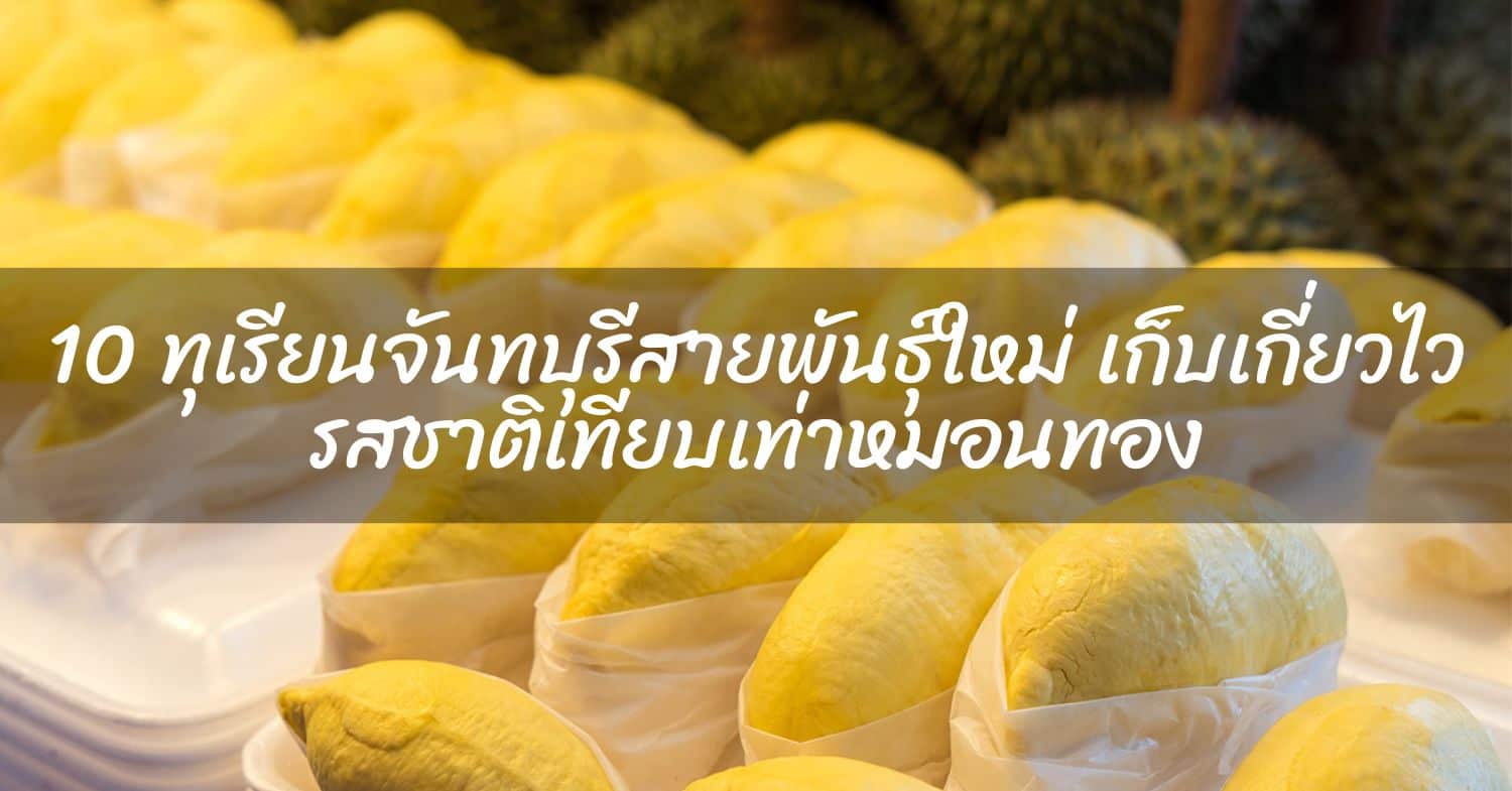 9 ไอเดียปลูกผักสวนครัวในพื้นที่น้อย