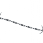 สินค้าทดลอง