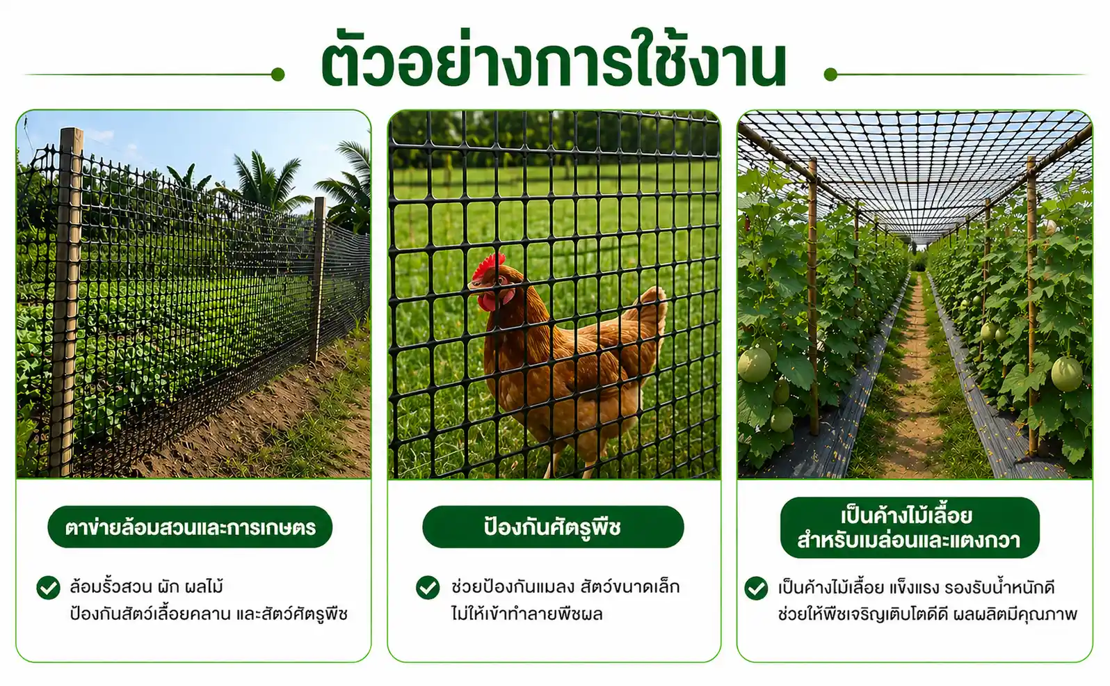 ตัวอย่างการใช่งานตาข่ายพลาสติก PP