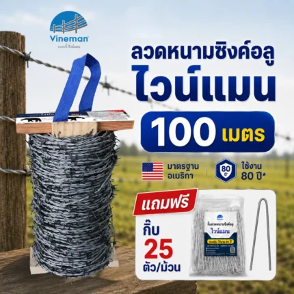 ลวดหนามไวน์แมน ความยาว 100 เมตร แถม 25ตัว/ม้วน