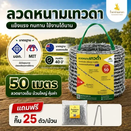 ลวดหนามเทวดา 50 เมตร