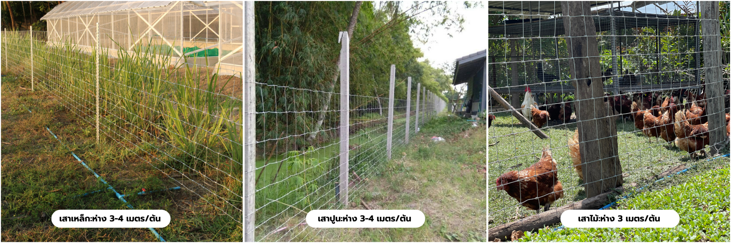 ใช้กับเสารั้วมังกร