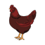 ไก่