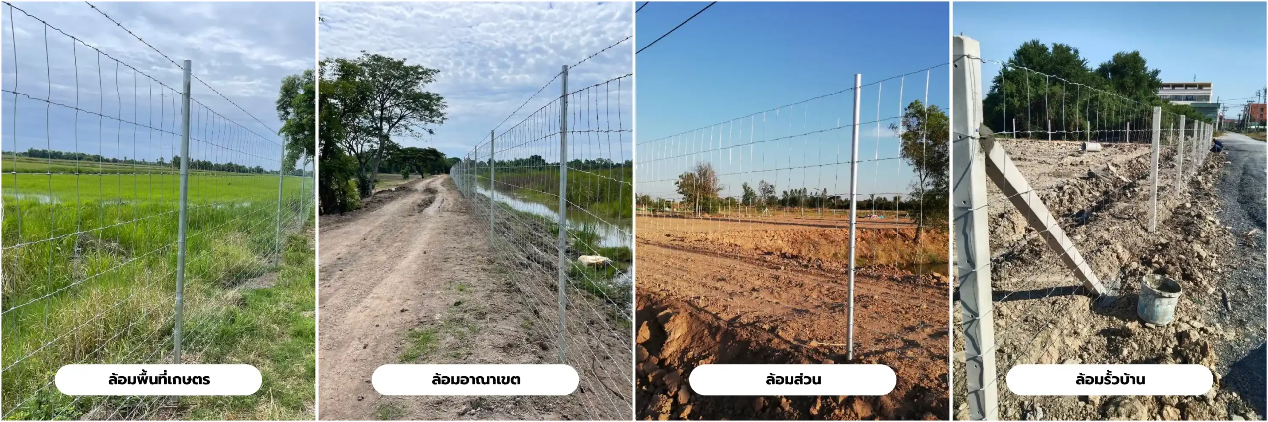 การใช้งานรั้วไวน์แมนจูเนียร์