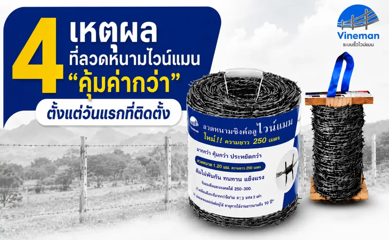 ปกบทความ 4 เหตุผลเน้นๆ ทำไม ลวดหนามซิงค์อลู ไวน์แมน