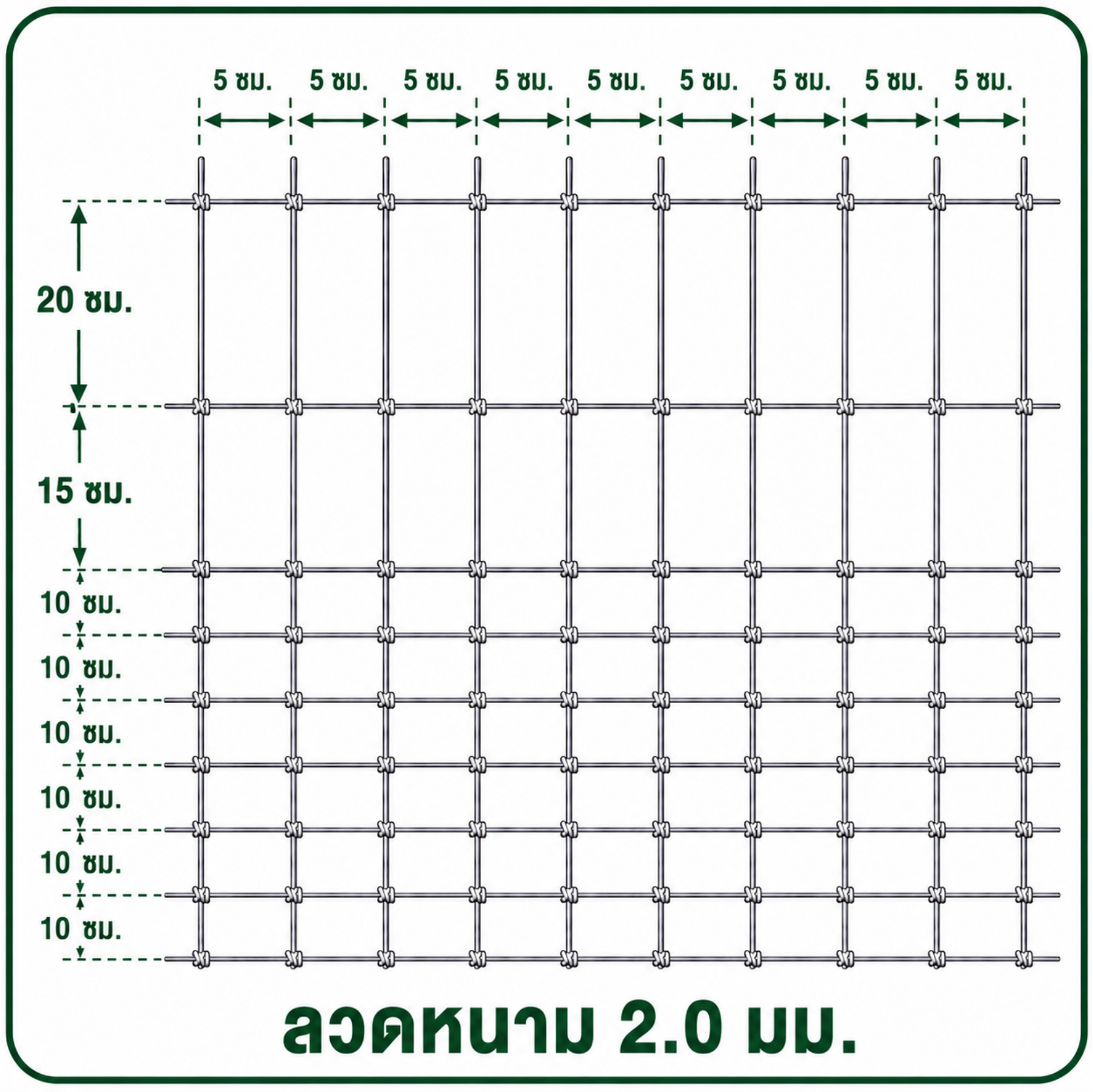 เกษตรไลท์ถี 2x4