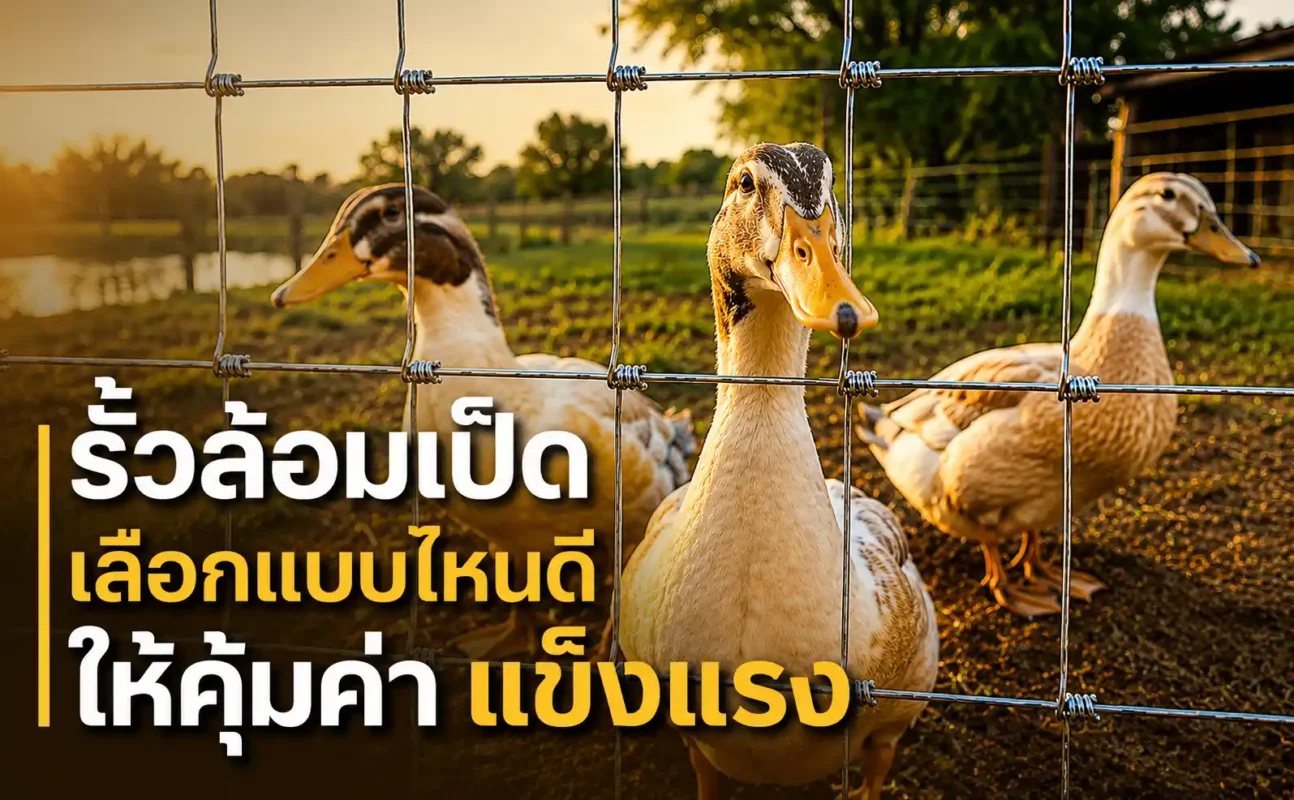 รั้วล้อมเป็ด เลือกแบบไหนดีให้คุ้มค่า แข็งแรง