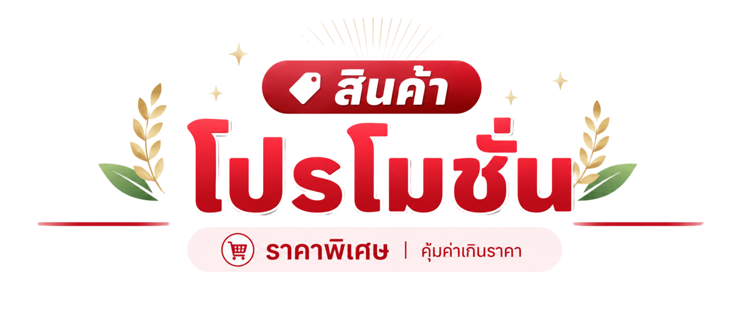 รูปสินค้าโปรโมชั่น