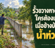รั้วขวางทางน้ำ ใครต้องแก้เมื่อข้างบ้านน้ำท่วม