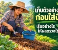 เก็บตัวอย่างดินก่อนใส่ปุ๋ย_เริ่มอย่างไรให้ผลตรวจใช้ได้