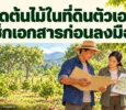 ภาพประกอบเจ้าของสวนตรวจแฟ้มเอกสารและแผนผังต้นไม้ก่อนตัดต้นไม้ในที่ดินตัวเอง