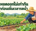 ภาพ AI เกษตรกรตรวจหัวจ่ายและท่อน้ำหยดในแปลงผัก เพื่อหาสาเหตุน้ำหยดออกไม่เท่ากัน