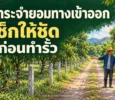 ภาระจำยอมทางเข้าออก เช็กให้ชัดก่อนทำรั้ว_ปกพร้อมชื่อบทความ