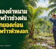 แมลงดำหนามมะพร้าวช่วงฝน เช็กยอดก่อนมะพร้าวหัวหงอก_ปกพร้อมชื่อบทความ