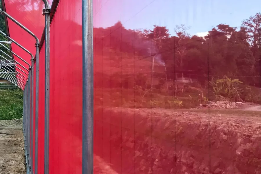 77292989_1490820781082257_8670975440849993728_n